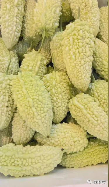 月吃瓜日记,揭秘娱乐圈幕后故事