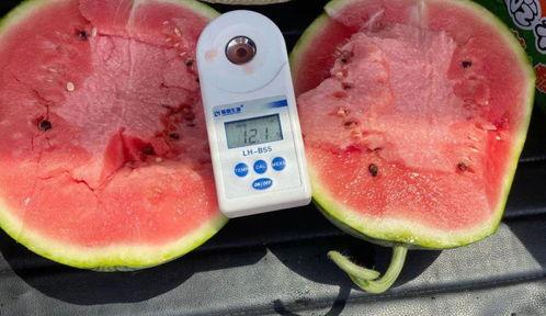 粉红色的吃瓜,揭秘吃瓜群众的甜蜜诱惑