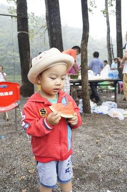 超级宝贝吃瓜,揭秘娱乐圈幕后真相