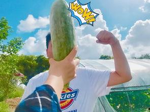 友情吃瓜,友情吃瓜，那些不为人知的幕后故事