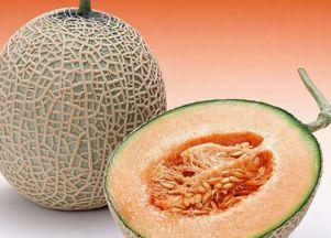 感冒了吃哈密瓜嘴里苦,揭秘感冒期间饮食禁忌