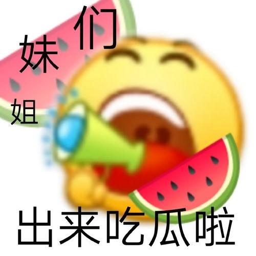 丽水西城吃瓜,夏日吃瓜盛宴，畅享清凉一夏