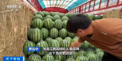 今年吃瓜榜,盘点娱乐圈最热辣事件