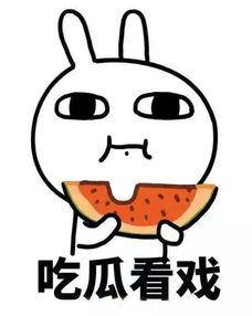 吃瓜的呆人,揭秘呆萌吃瓜者的欢乐时光