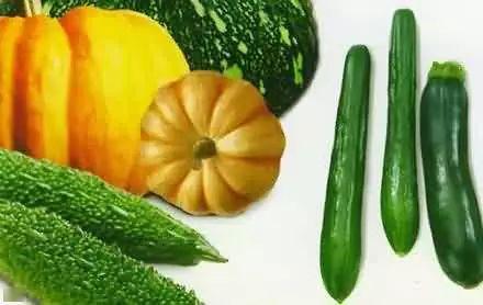 南天门吃瓜,一场吃瓜盛宴背后的神秘故事