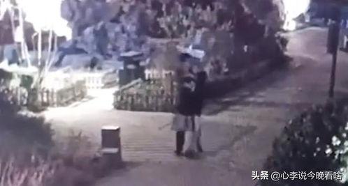 老撕鸡吃瓜视频,揭秘娱乐圈幕后真相