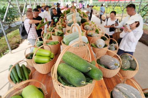 长沙展会吃瓜,吃瓜群众围观美食盛宴