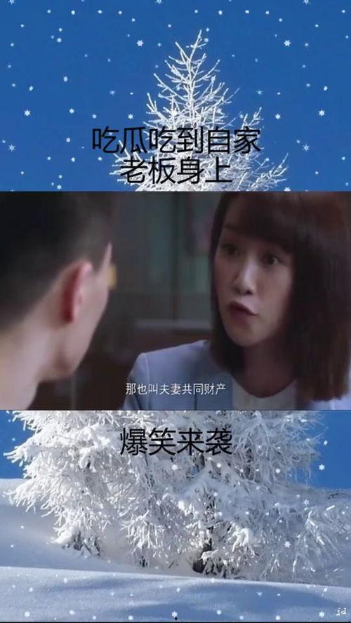 吃瓜总裁,揭秘娱乐圈幕后风云