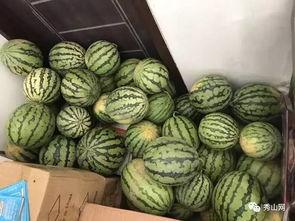 吃瓜群免费西瓜解说,跟随吃瓜群免费西瓜解说，畅游西瓜世界